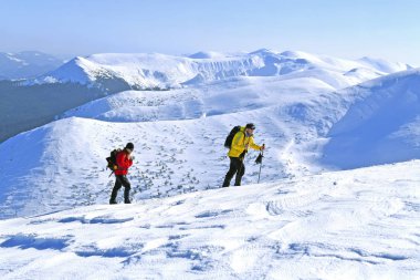 Mount Hoverla, Ukrayna - 11 Şubat 2019: Hoverla dağın tepesine tırmanmaya. Karpatlar.