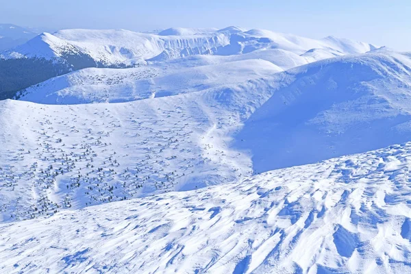 Monte Hoverla Ucrania Vista Desde Cima Del Monte Hoverla Cárpatos — Foto de Stock