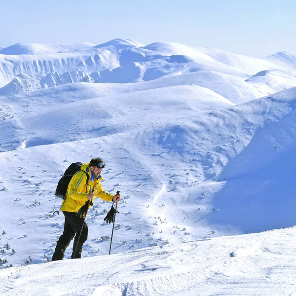 Mount Hoverla Ucrania Febrero 2019 Escalada Cima Montaña Hoverla Cárpatos —  Fotos de Stock