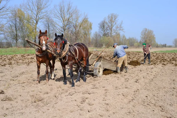 乌克兰卡鲁什 2016年4月6日 在乌克兰西部卡鲁什镇附近的田野里用粪肥施肥 — 图库照片