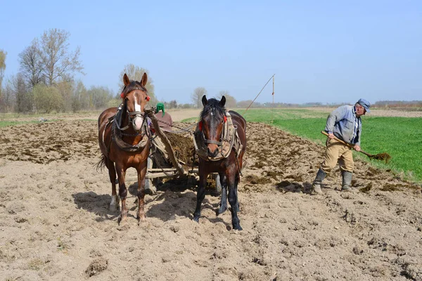 Kalush Ukraine April 2016 Fertilizing Soil Manure Field Town Kalush — Stock Photo, Image