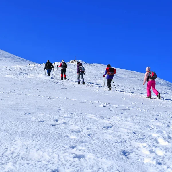 Mount Hoverla Ucrania Febrero 2019 Escalada Cima Montaña Hoverla Cárpatos — Foto de Stock