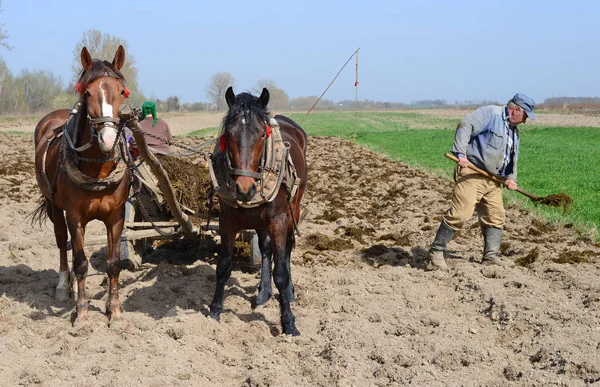 Kalush Ukraine April 2016 Fertilizing Soil Manure Field Town Kalush — Stock Photo, Image