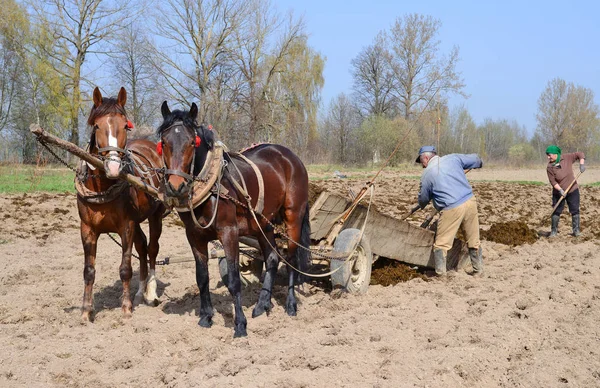 Калуш Украина Апреля 2016 Года Удобрение Почвы Навозом Поле Возле — стоковое фото