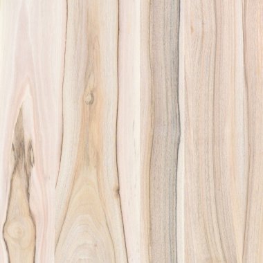 Ahşap panel ahşap bir parçası. Ceviz.