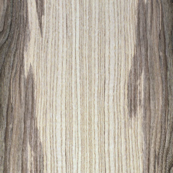 Fragment Wooden Panel Hardwood — Stock Photo, Image