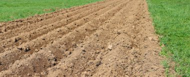 bir bahar günü tarla tarlası