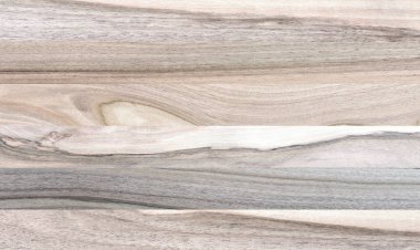 Ahşap panel ahşap bir parçası. Ceviz.