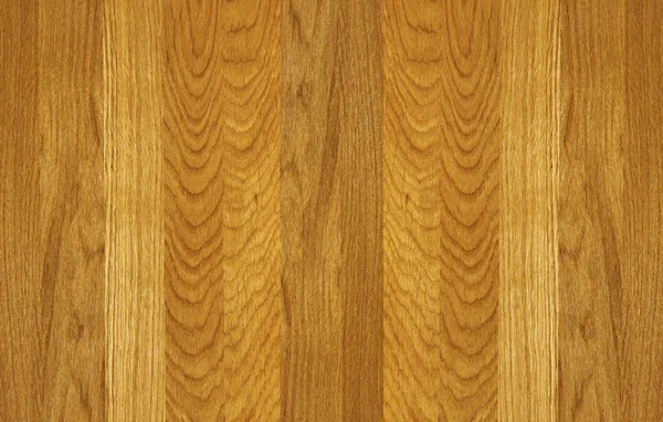 Ett Fragment Trä Panel Lövträd Oak — Stockfoto