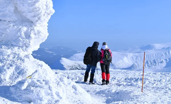 Mount Hoverla Ucrania Febrero 2019 Escalada Cima Montaña Hoverla Cárpatos —  Fotos de Stock