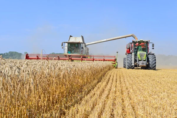 Kalush Ukraine October Modern Combine Harvesting Field Town Kalush Western — Stockfoto