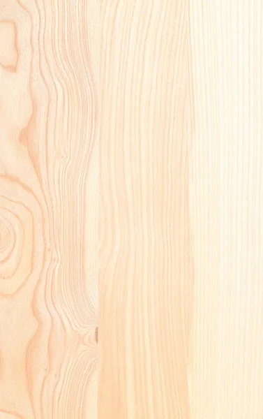 Fragment Wooden Panel Hardwood Ash — Stock Photo, Image