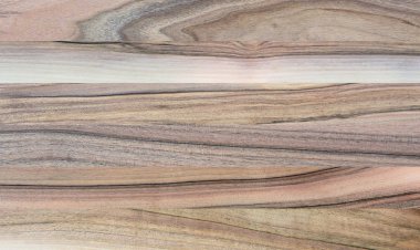 Ahşap panel ahşap bir parçası. Ceviz.