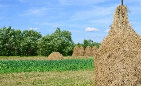 Heno Las Pilas Paisaje Veraniego Rural —  Fotos de Stock