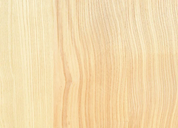 Ett Fragment Trä Panel Lövträd Aska — Stockfoto