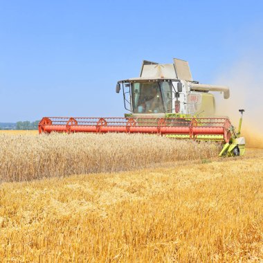 Kalush, Ukraine - OCTOBER 8: Modern combine harvesting in the field near the town Kalush, Western Ukraine October 8, 2013