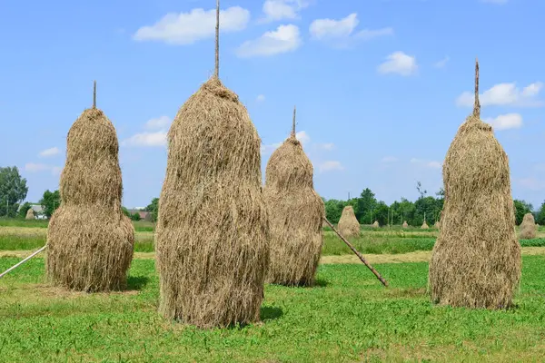 Heno Las Pilas Paisaje Veraniego Rural — Foto de Stock