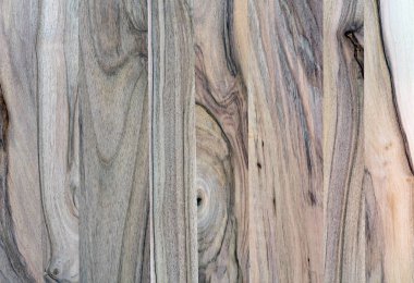 Parke zemin parçası. Ceviz.