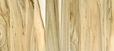 Parke zemin parçası. Ceviz.