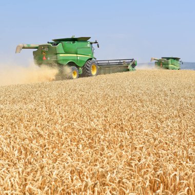combine harvester working at wheat field, harvesting in the countryside