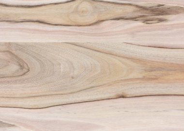 Ahşap panel ahşap bir parçası. Ceviz.