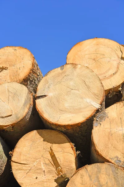 Preparazione Deposito Del Legno Paesaggio Industriale — Foto Stock