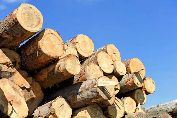 Preparation Wood Warehousing Industrial Landscape — Stock Photo, Image