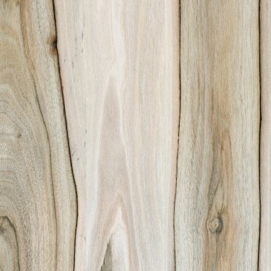 Ahşap panel ahşap bir parçası. Ceviz.