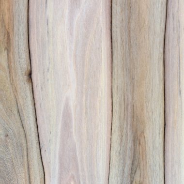 Ahşap panel ahşap bir parçası. Ceviz.