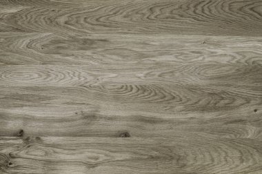 Ahşap panel ahşap bir parçası. Meşe.