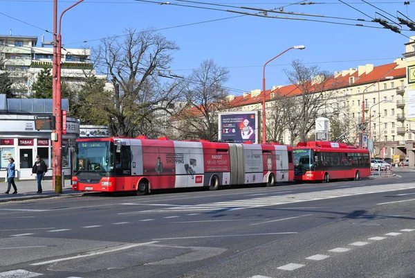 Братислава Словацька Республіка Березня 2019 Міський Автобус Маршруті — стокове фото