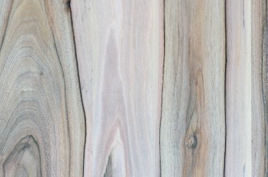 Ahşap panel ahşap bir parçası. Ceviz.