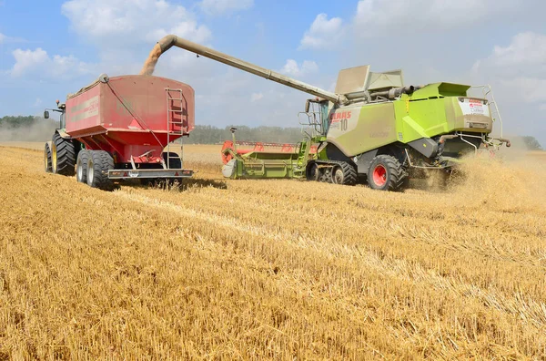 Kalush, Ukrayna 20 Temmuz 2018: Traktör römorkunun tahıl tankına tahıl hasatı aşırı yükleme.