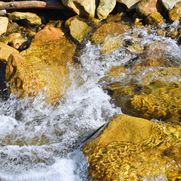 Splashing Water Mountain Stream — Φωτογραφία Αρχείου