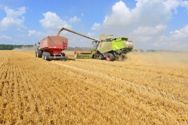 Kalush, Ukraine - OCTOBER 8: Modern combine harvesting in the field near the town Kalush, Western Ukraine October 8, 2013