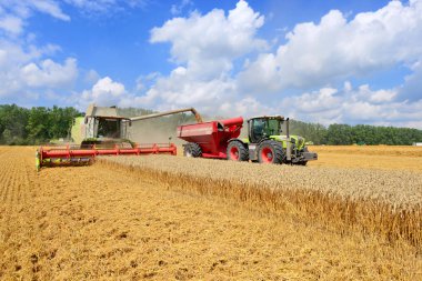Kalush, Ukraine - OCTOBER 8: Modern combine harvesting in the field near the town Kalush, Western Ukraine October 8, 2013