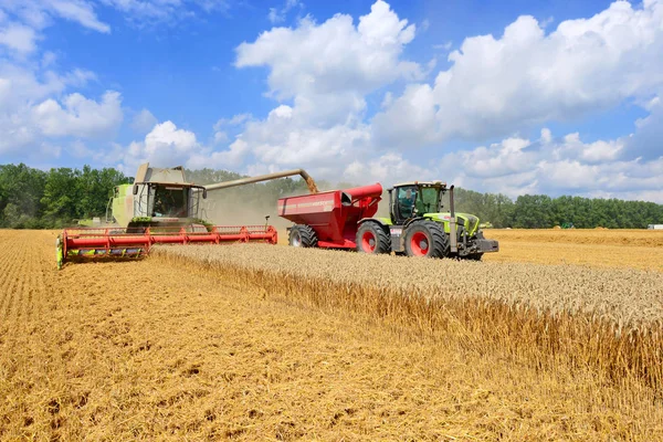 Kalush Ukraine October Modern Combine Harvesting Field Town Kalush Western — Stockfoto