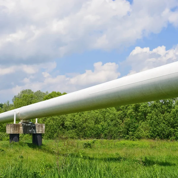 Large White Pipe Field — Stok fotoğraf