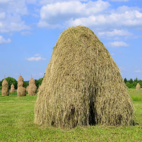 Hay Tumpukan Dalam Lanskap Musim Panas Pedesaan — Stok Foto