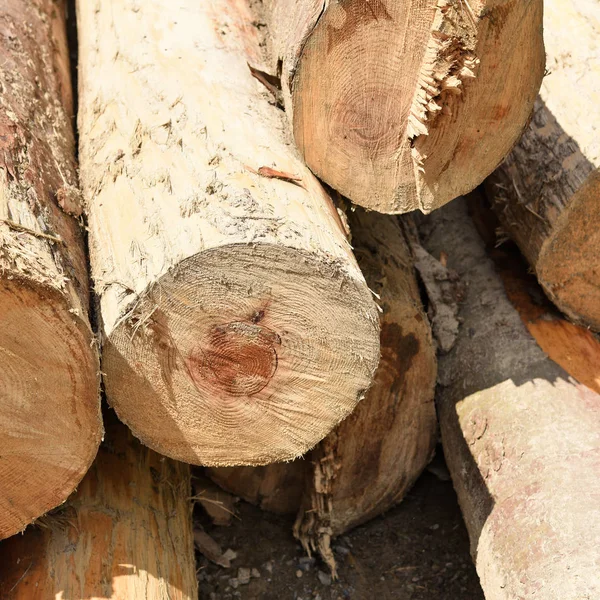 Stapel Houtblokken Houten Ondergrond — Stockfoto