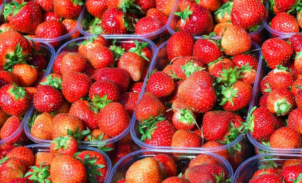 Fresas Envases Plástico Para Venta Por Menor — Foto de Stock