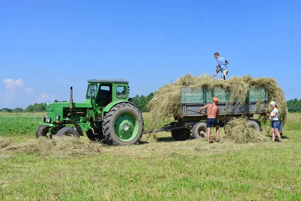 Kalush Ukraine May 2016 Harvesting Hay Town Kalush Western Ukraine — Stockfoto