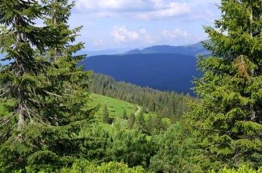 Dağları ve mavi gökyüzü olan güzel bir manzara.