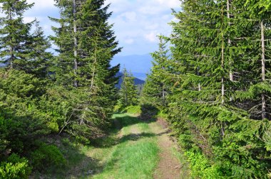 Dağları ve mavi gökyüzü olan güzel bir manzara.