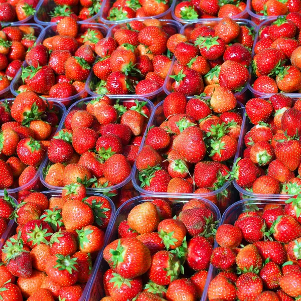 Fresas Maduras Cerca — Foto de Stock