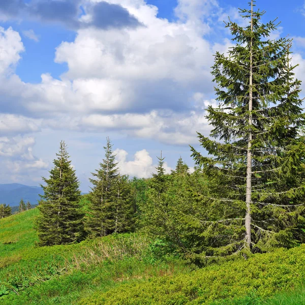 Hermoso Paisaje Con Montañas Cielo Azul — Foto de Stock