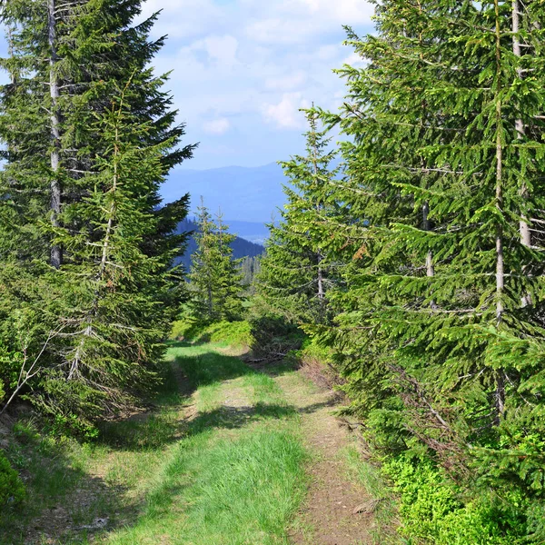 Schöne Landschaft Mit Straße Bergen Und Blauem Himmel — Stockfoto