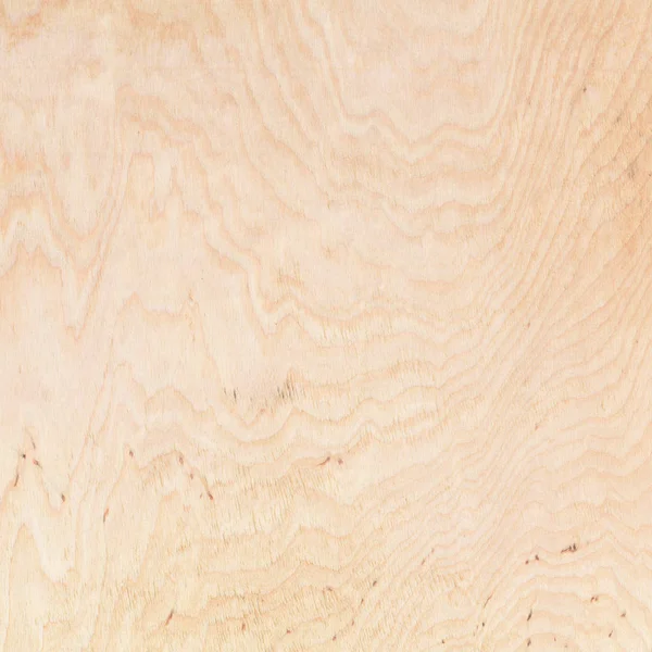 Fragment Drewnianego Drewna Liściastego Naturalna Tekstura Drewna — Zdjęcie stockowe