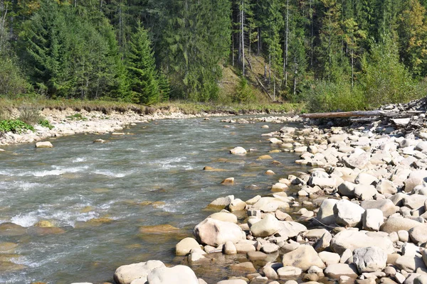 Fluss Den Bergen — Stockfoto