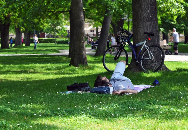 Prag Tjeckien Maj 2019 Killen Vilar Gräsmattan Parken Skuggan Ett Royaltyfria Stockbilder